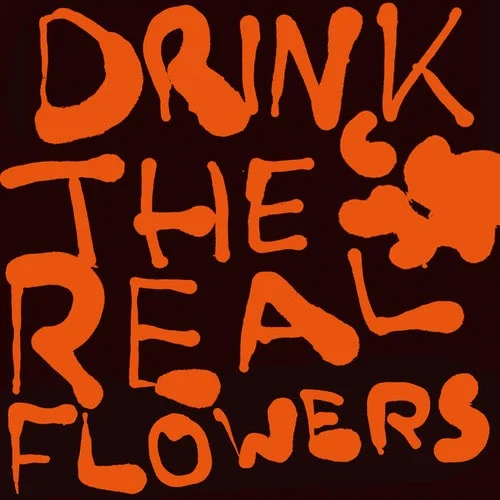 Cover Image: ddwy - Drink The Real Flowers on Public Possession