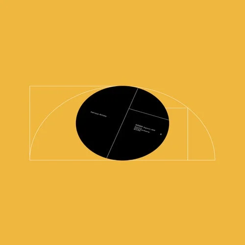 Cover Image: VA - Transient I on Segment