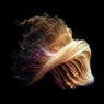 Cover Image for This and That Original Mix