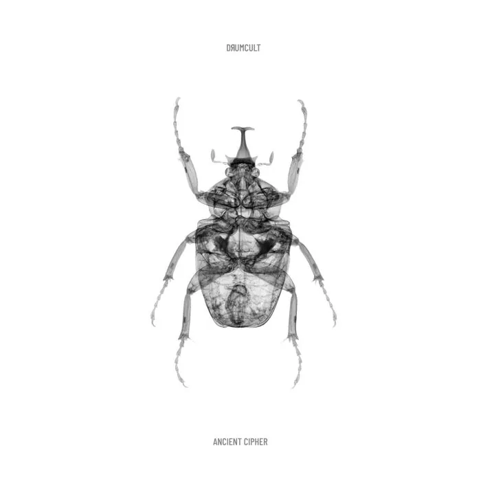 Dяumcult – Ancient Cipher on O.V.N.I. cover art