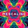 Cover Image for Mescaline Victor Ruiz & Alex Stein Remix