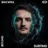 Cover Image for Surfing Original Mix