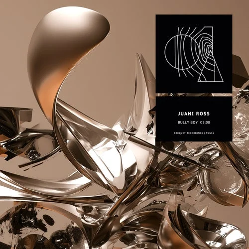 Cover Image: Juani Ross - Bully Boy on Parquet Recordings