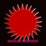 Cover Image for Sensual Reduction Original Mix