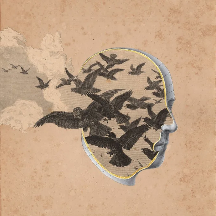 EOYYV - Direction EP cover art