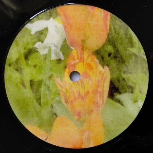 Cover Image: VA - Honeysuckle (Teuteu Remix) on Last Year At Marienbad