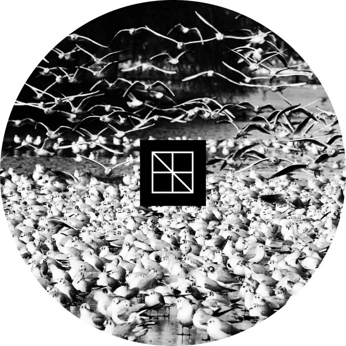 G ROOM - El Caos Perdido cover art