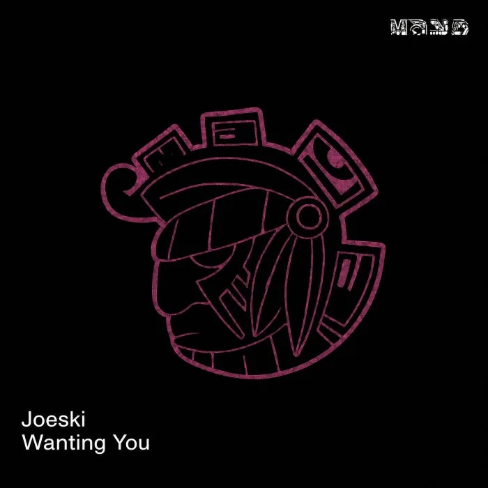 Joeski - Wanting You cover art