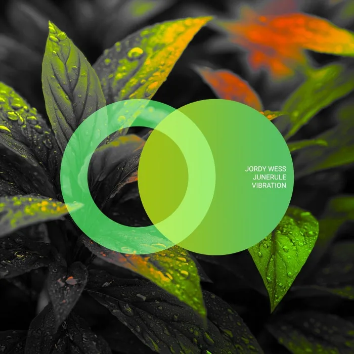 Junerule, Jordy Wess - Vibration cover art