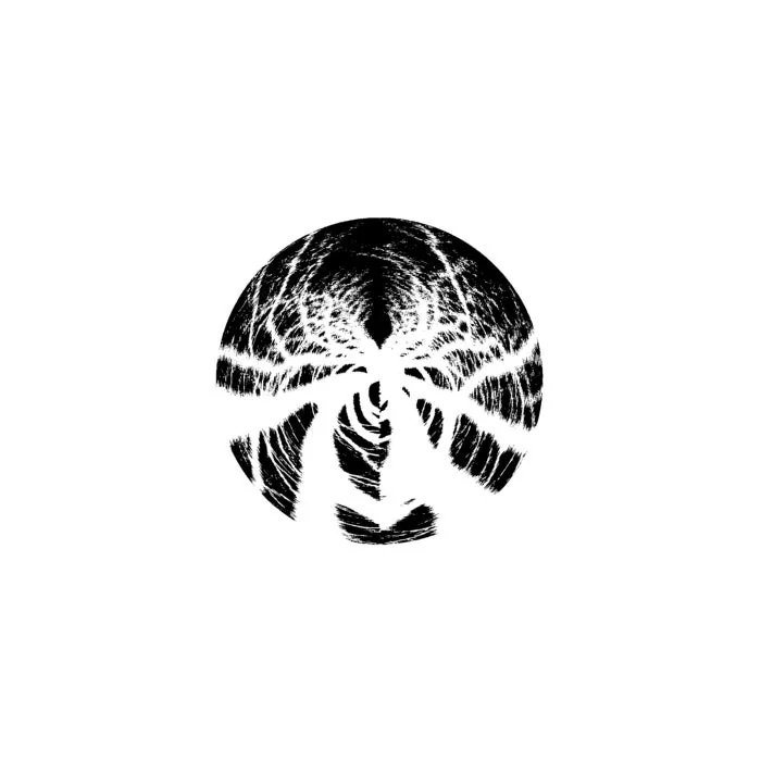 Phasmid – Dark Forest Theory (The Remixes) on Taipan Trax cover art