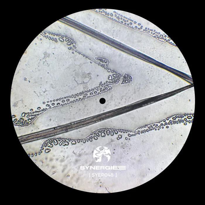 Pont - Vector Protocol cover art