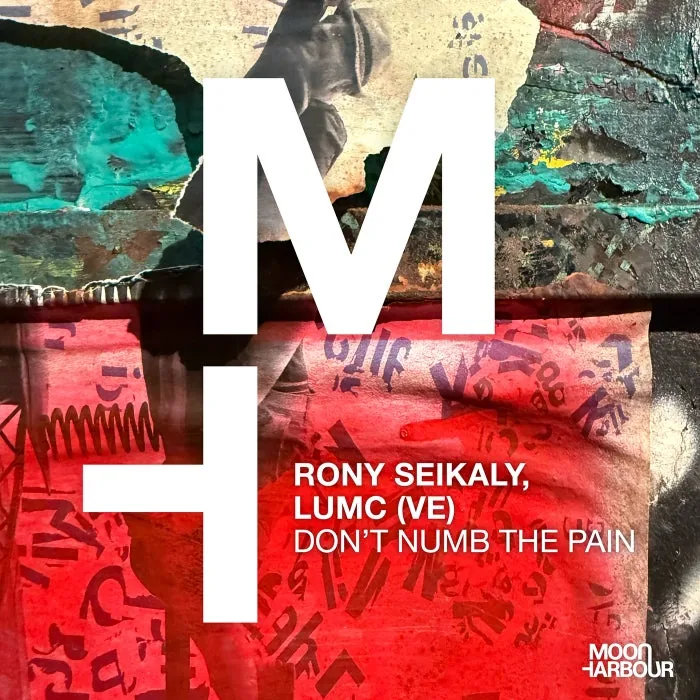 Rony Seikaly, LUMC (VE), Angie A - Don't Numb the Pain cover art