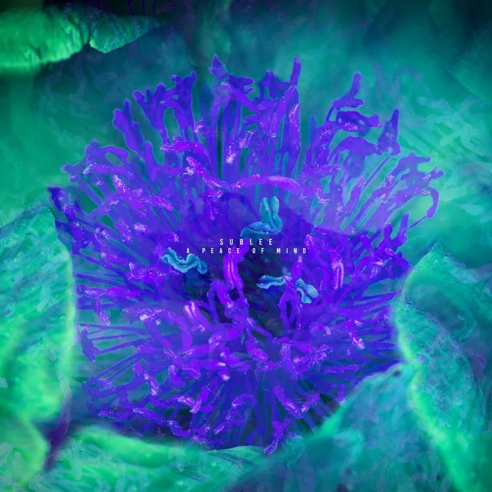 Sublee - A Peace Of Mind cover art