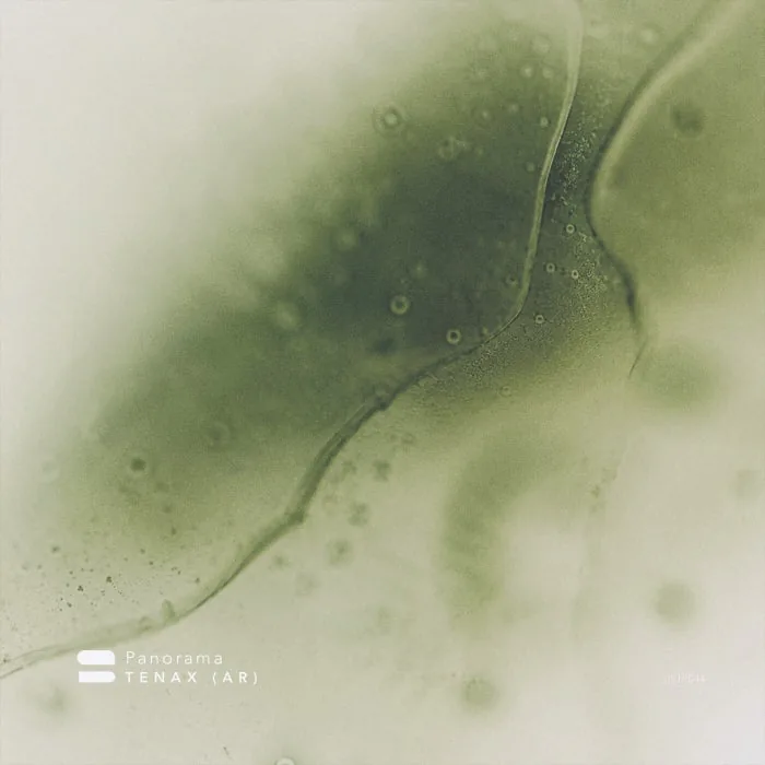 TENAX (AR) - Panorama cover art