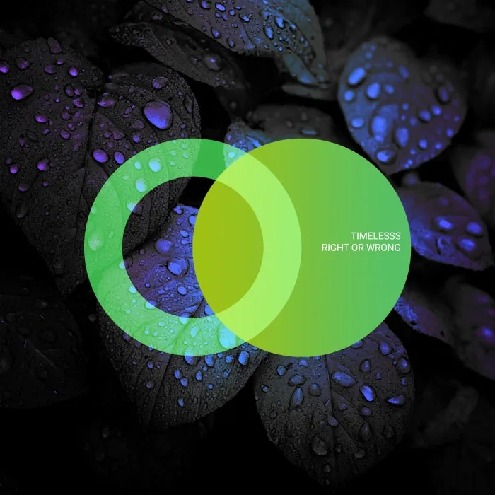 Timelesss - Right or Wrong cover art