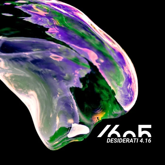 VA - Desiderati 4.16 cover art
