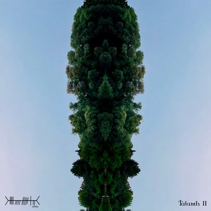 VA – Talamh II V.A (Digital) on ETHRAL cover art