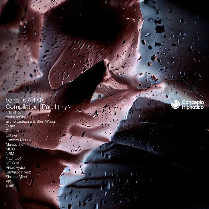 VA - Various Artists Compilation, Vol. 2 cover art