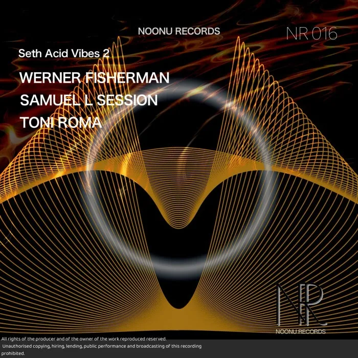 Werner Fisherman - Seth Acid Vibes 2 cover art