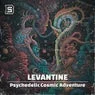 Cover Image for Psychedelic Cosmic Adventure Acid House Mix