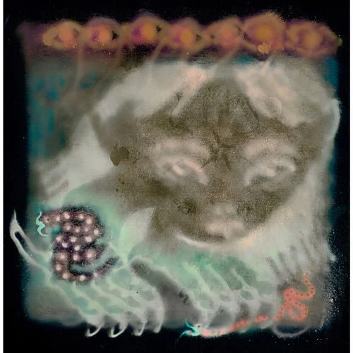 Cover Image: Face - Placet Experiri on Tofistock