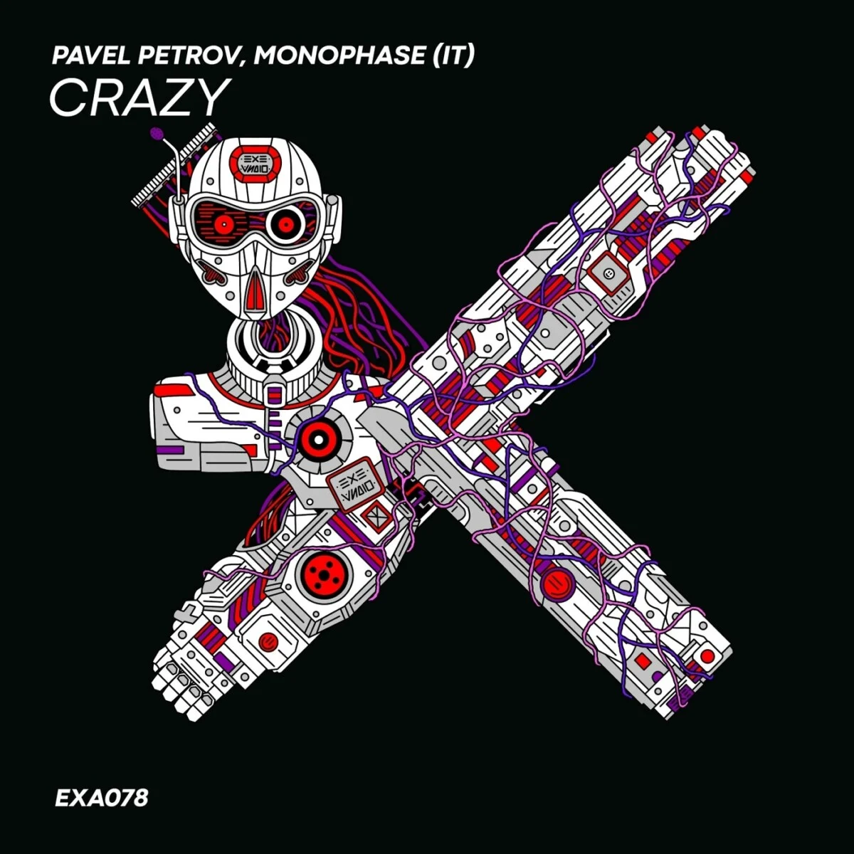 Cover Image for Crazy Extended Mix