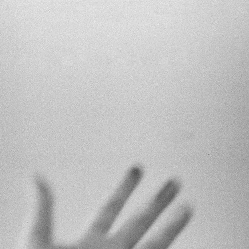 Cover Image: VA - Lux Nigra on Semantica Records