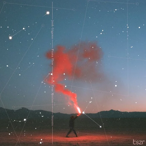 Cover Image: Josh Gigante, Prana Flow, True Motion - Secrets (feat. True Motion) on tszr