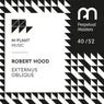 Cover Image for Externus Oblique Original Mix