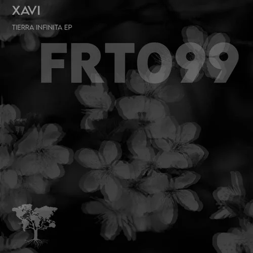Cover Image: Fratii.ro - Tierra Infinita on Fratii.ro