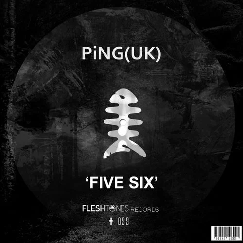 Cover Image: PiNG (UK) - Five Six on Fleshtones