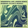 Cover Image for Wonderful Life JOSEPH (CH) Extended Remix
