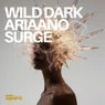 Cover Image for Surge Original Mix