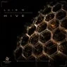 Cover Image for Hive Original Mix