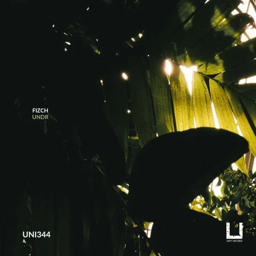 Cover Image: Fizch - UNDR on Unity Records