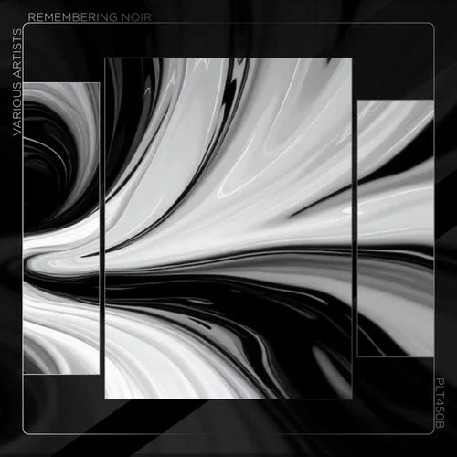 Cover Image: Wailey, Emre K., Invariant - Remembering Noir on Polyptych Bundles