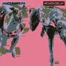Cover Image for Woven Delay Original Mix