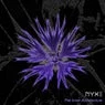 Cover Image for From Survival to Creation Original Mix