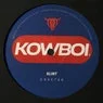 Cover Image for Cheetah Original Mix