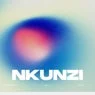 Cover Image for Nkunzi Original Mix