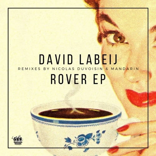 Cover Image: David Labeij - Rover EP on Fantastic Friends Recordings