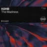 Cover Image for Surrender To The Madness Extended Mix