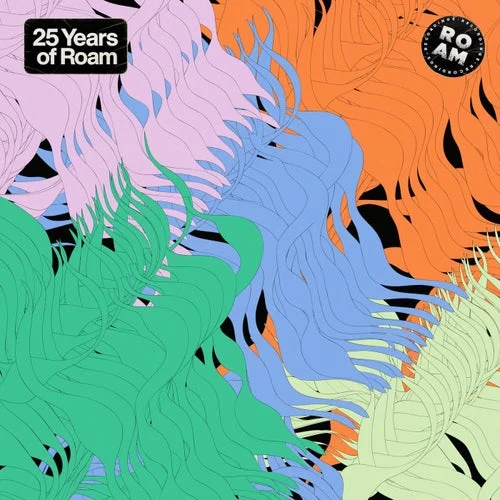 Cover Image: VA - Roam 25 Year Compilation on Roam Recordings