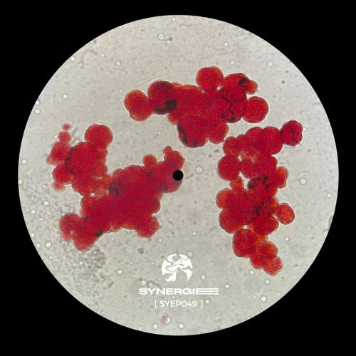 Cover Image: dxrvo - The Fear Within on Synergie ©