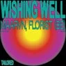 Cover Image for Wishing Well Extended Mix
