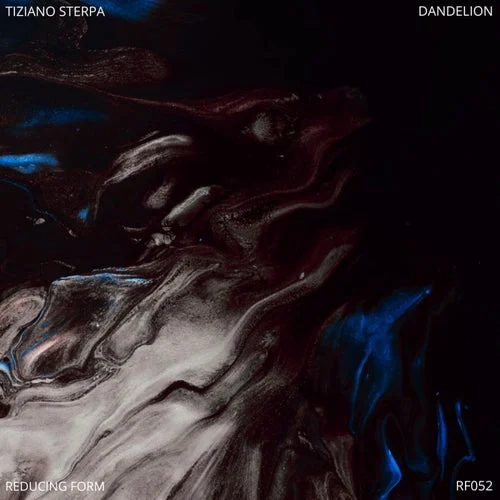 Cover Image: Tiziano Sterpa - Dandelion on Reducing Form