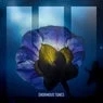 Cover Image for Serotonin Extended Mix
