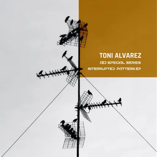 Cover Image: Toni Alvarez - Interrupted Pattern EP on Special Series
