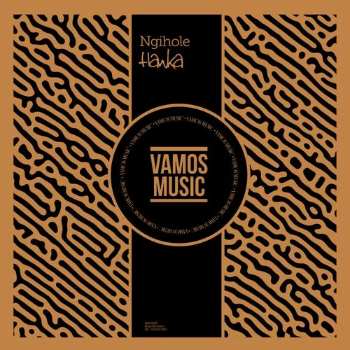 Cover Image: Hawka - Ngihole on Vamos Music