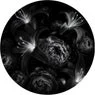 Cover Image for Conseguenze Original Mix